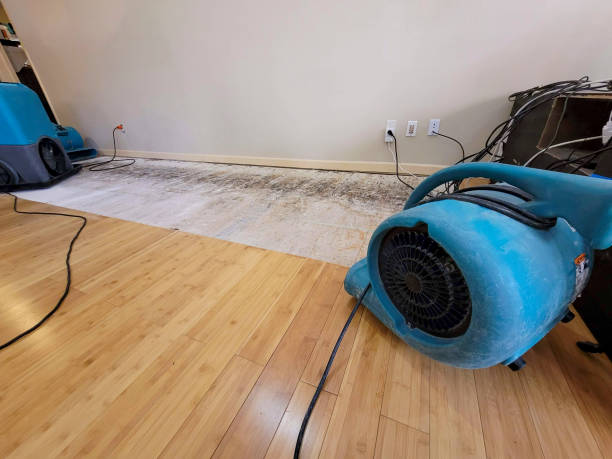 Professional Ceiling Water Damage Repair technician working in Alma, NE